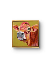Deja Moo