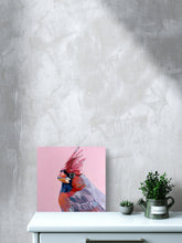 Pink Soprano