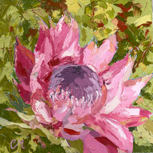 Full Bloom