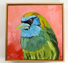 Barbie Barbet